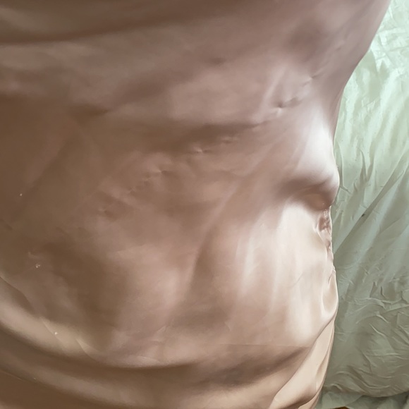 Aritzia ruched slip dress - Picture 7 of 8